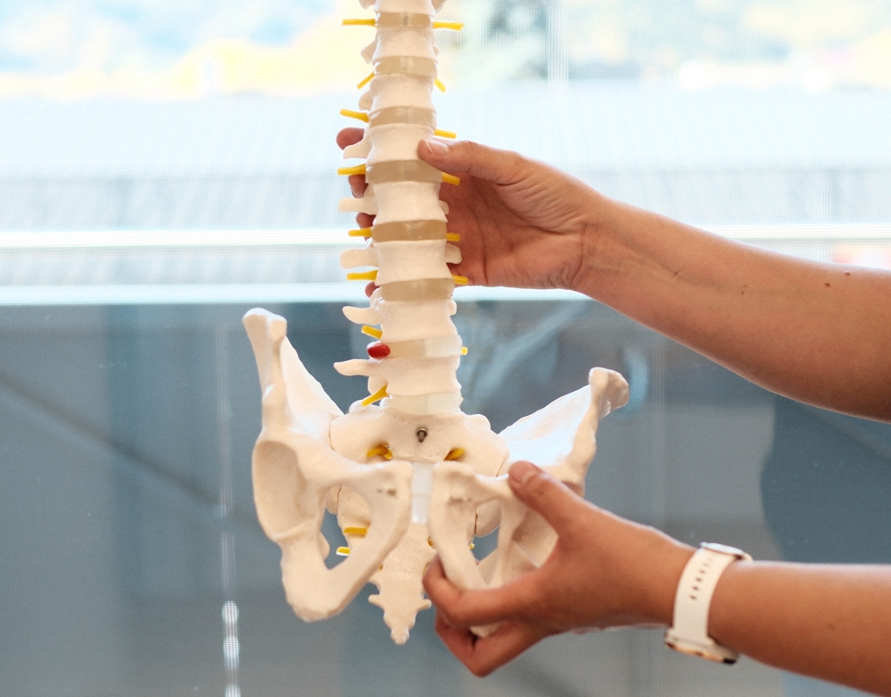 Physiotherapie, Prävention